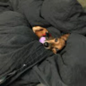 Meet your Posher, Jayson